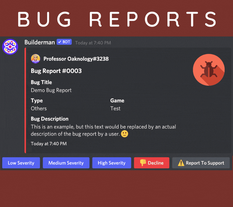 Bug Report Example (Holding)